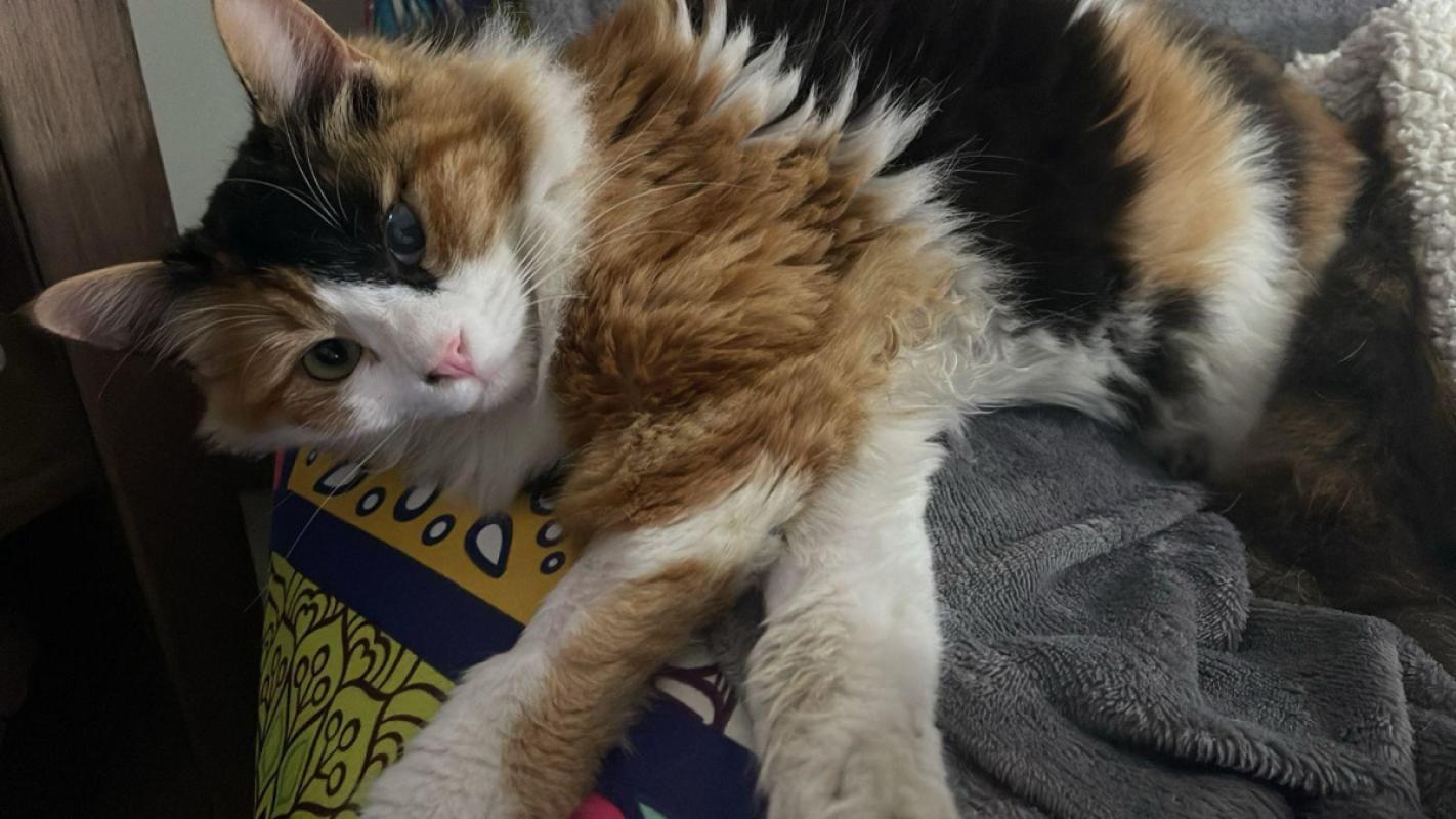 Esmeralda