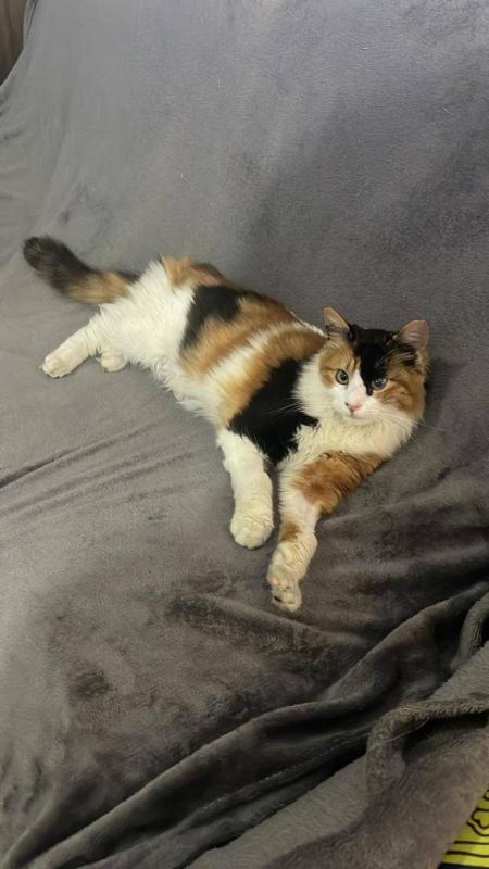 Esmeralda