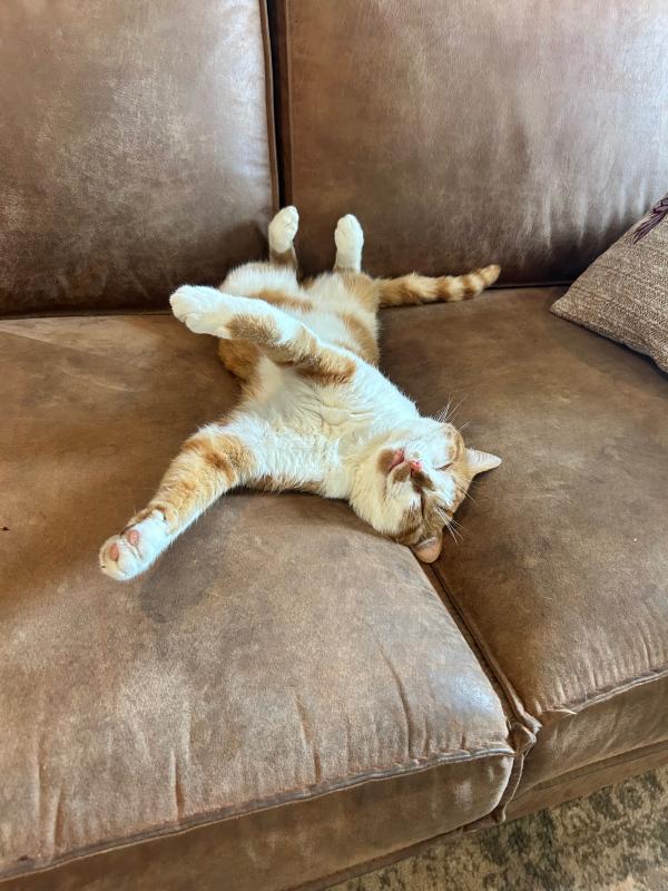 Ted