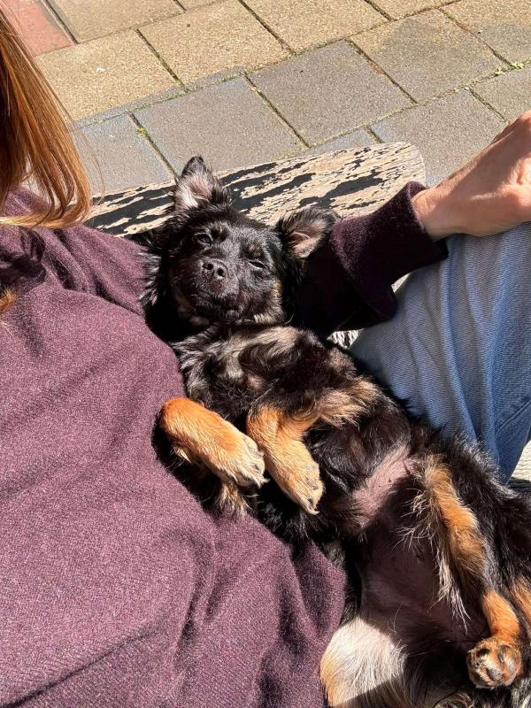 Lila