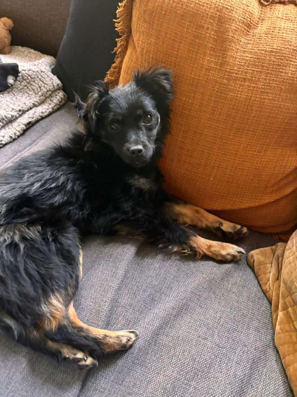 Lila