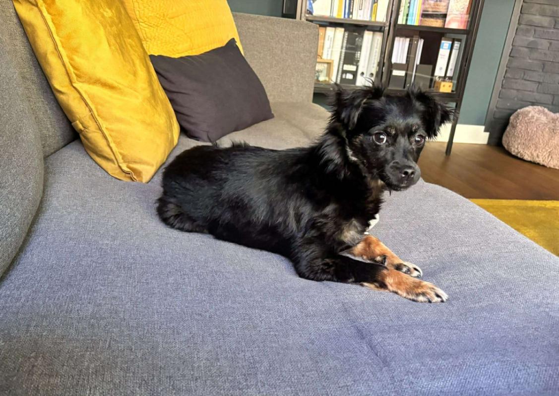 Lila
