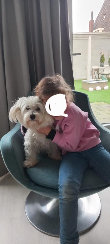 Flappie