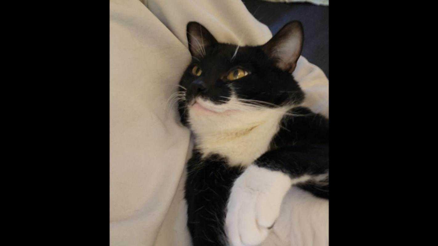 Benny