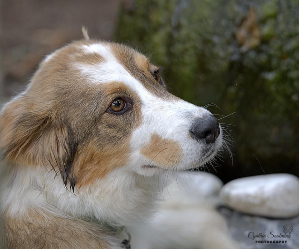 Bella