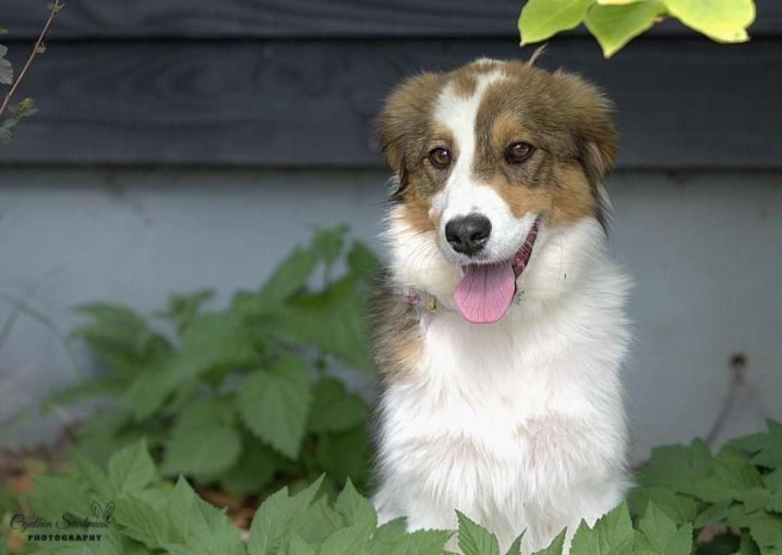 Bella