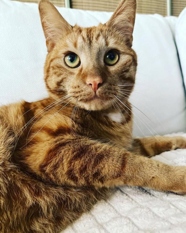 Rio