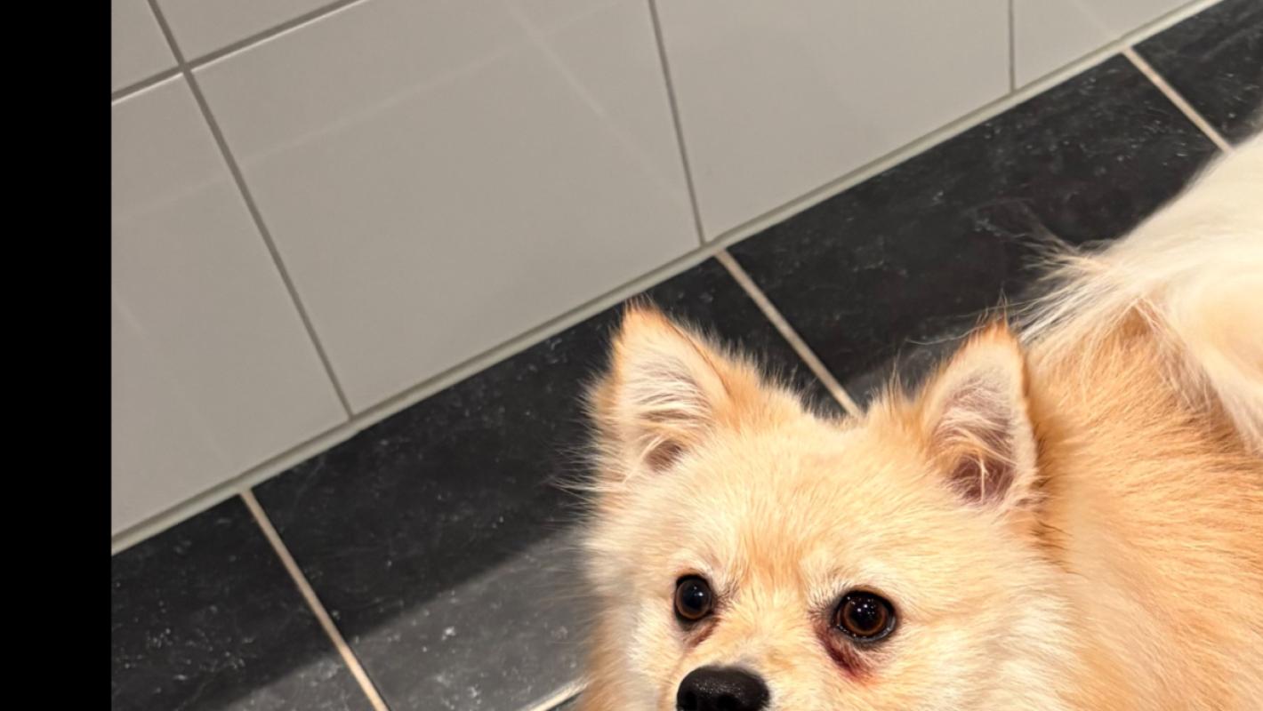 Paco