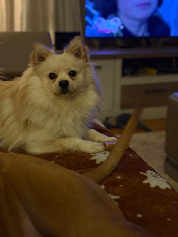 Paco
