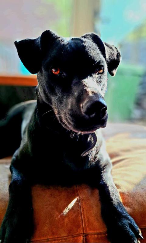 Tilly