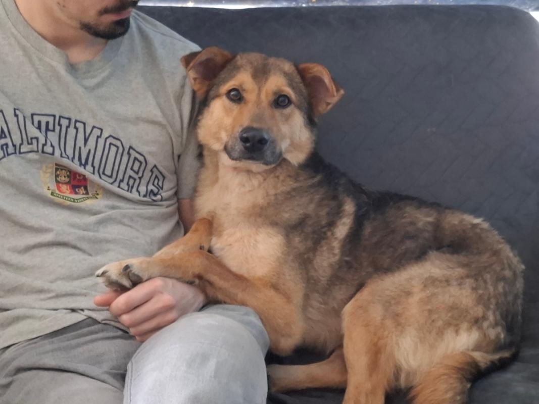 Bruno