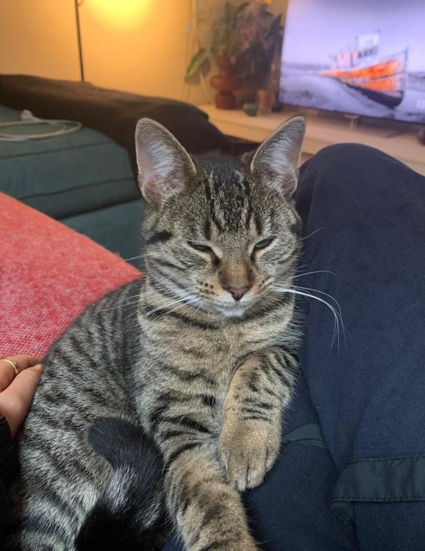 Mo