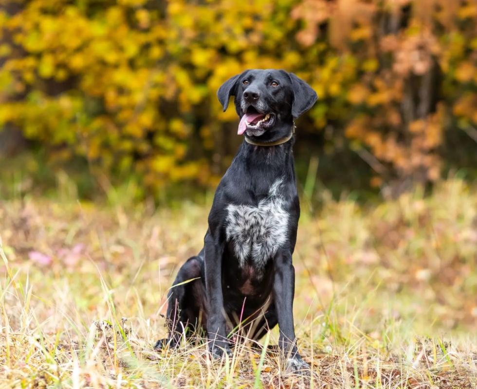 Max