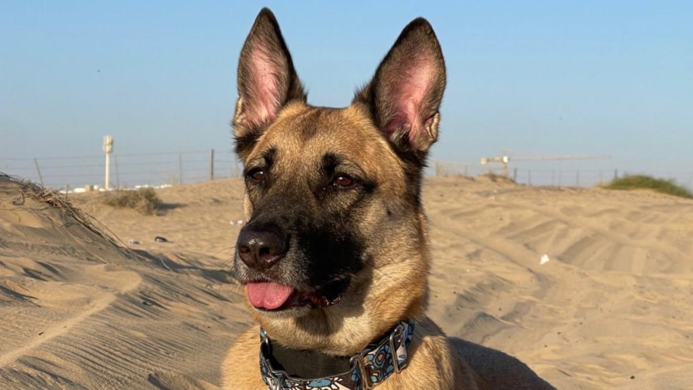 Max