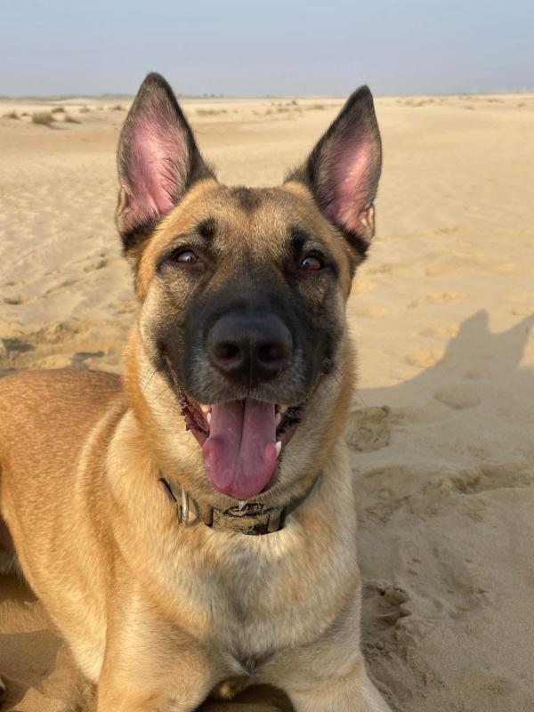 Max