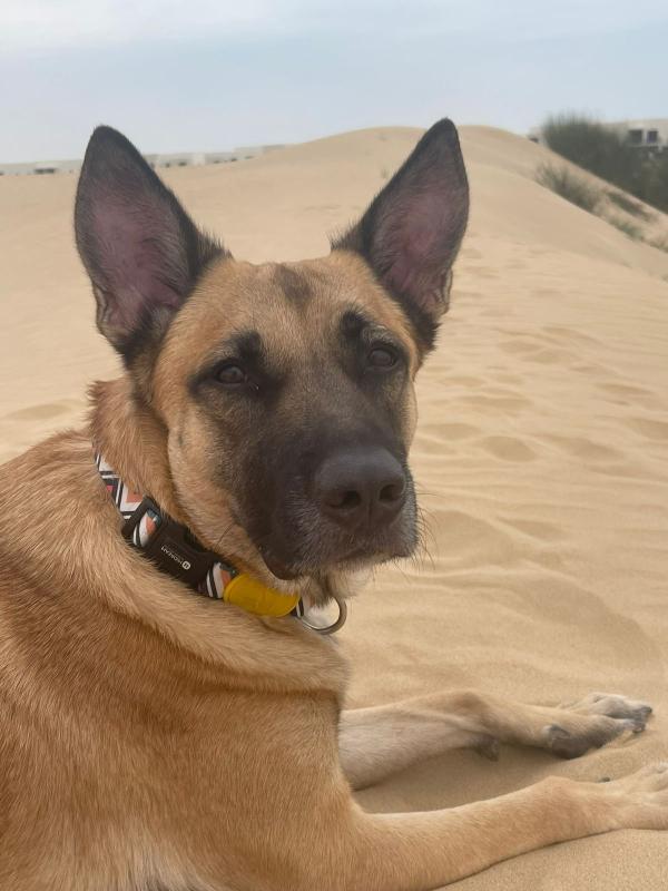 Max