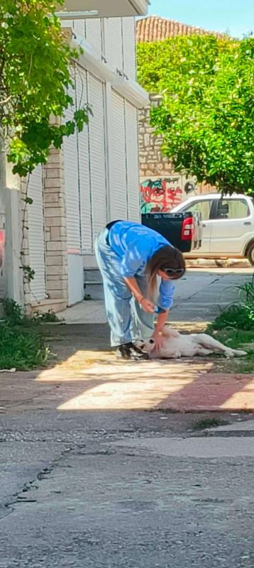 Julian