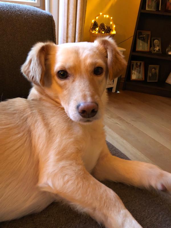 Sammie
