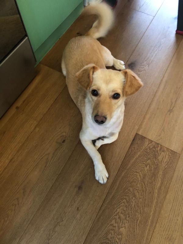 Sammie