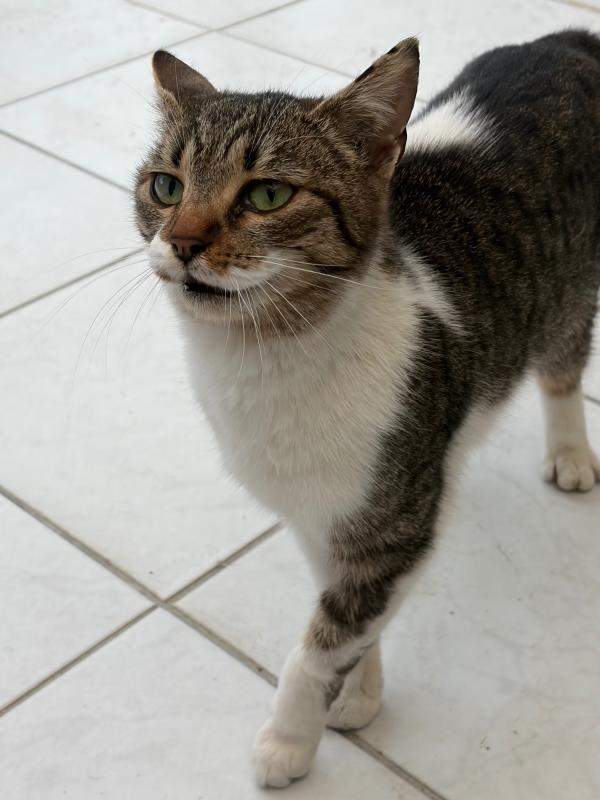 Fiona