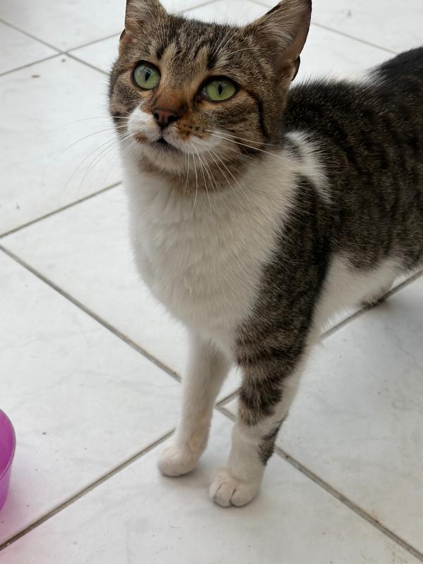 Fiona