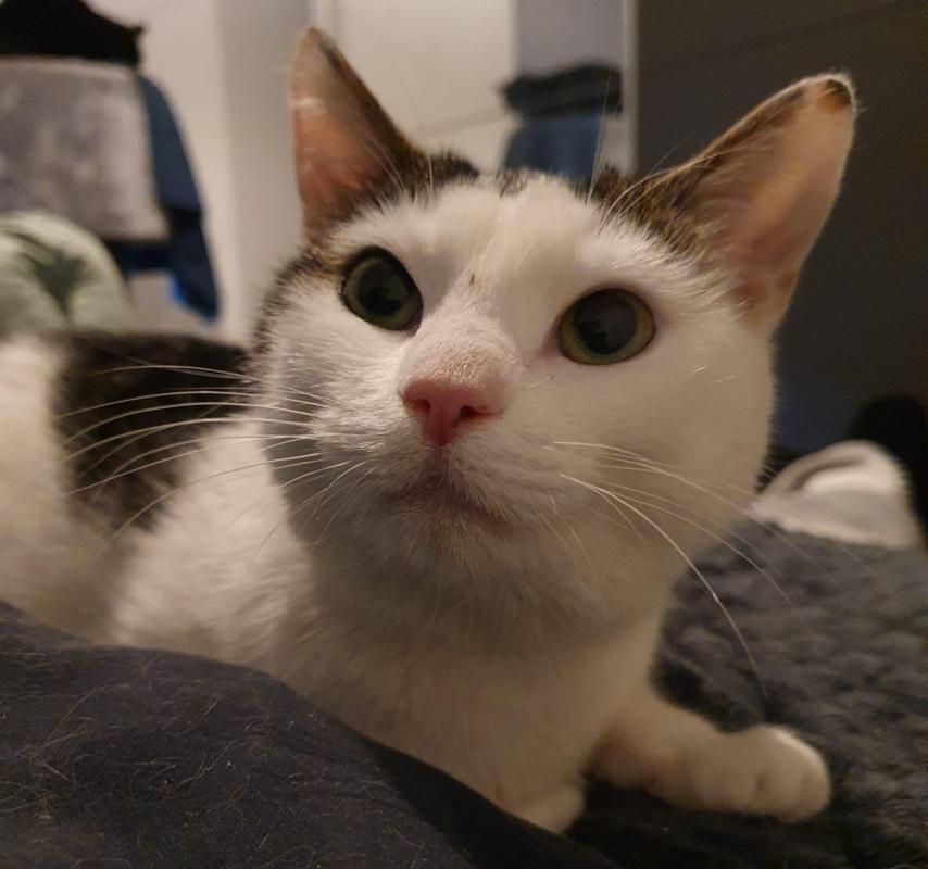 Chloe