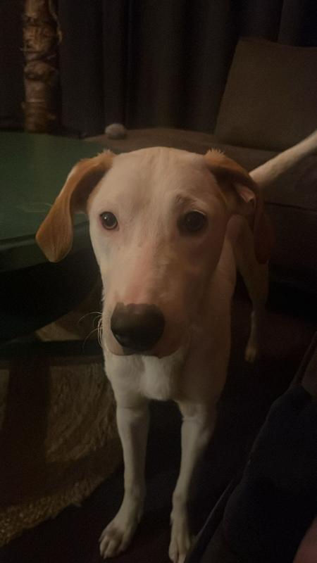 Pablo