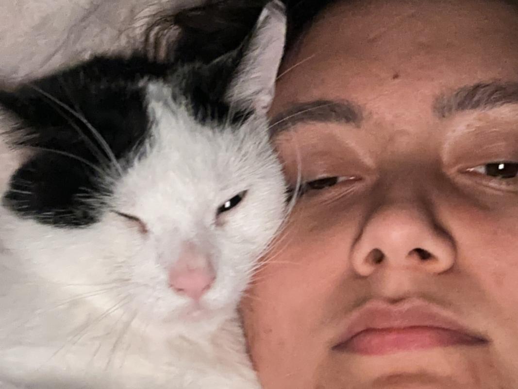 Mimi