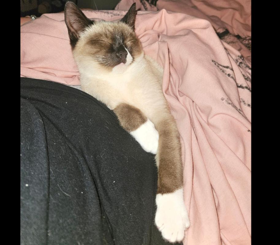 Coco