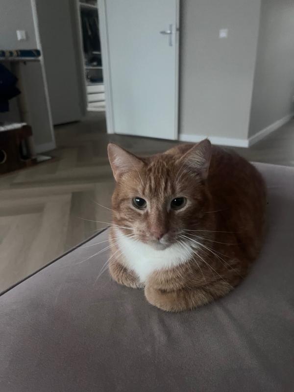 Bob