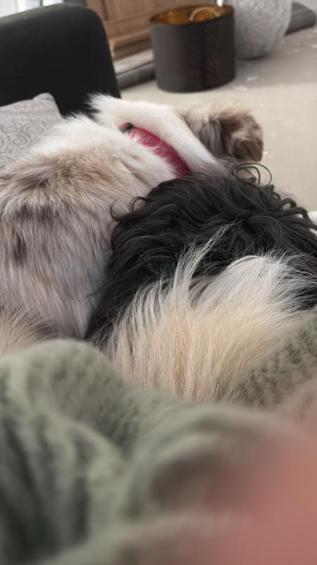 Max