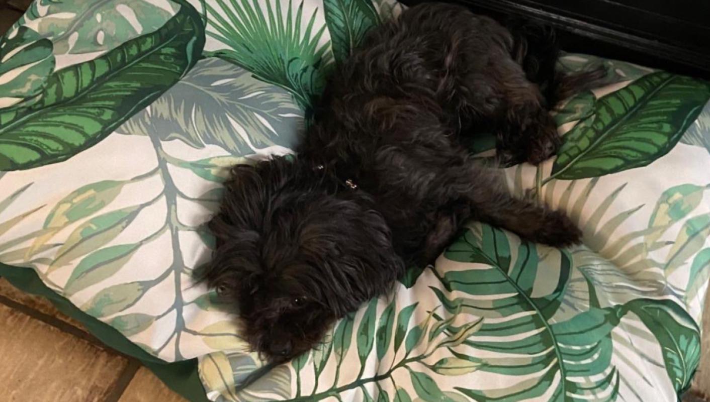 Max