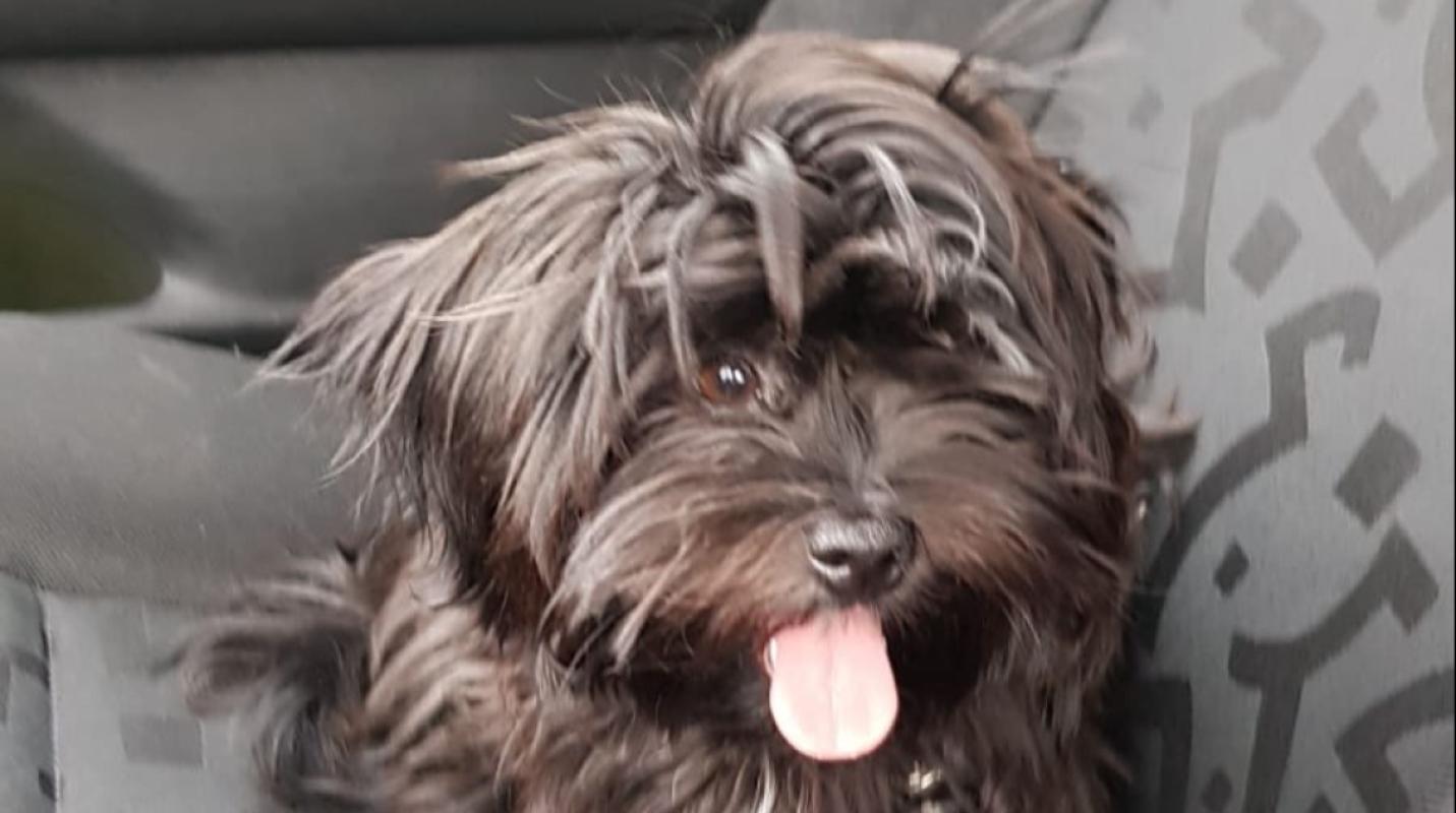 Max