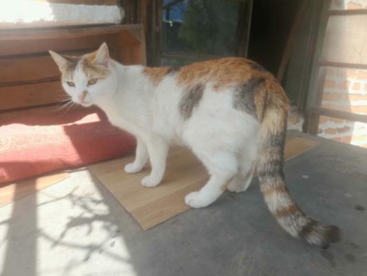 Lilly