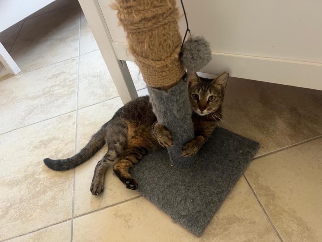 Kiki