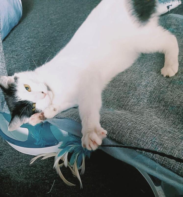 Mimi