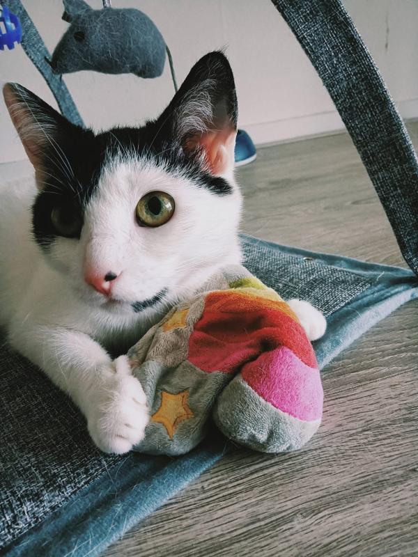 Mimi