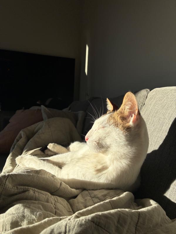Lou