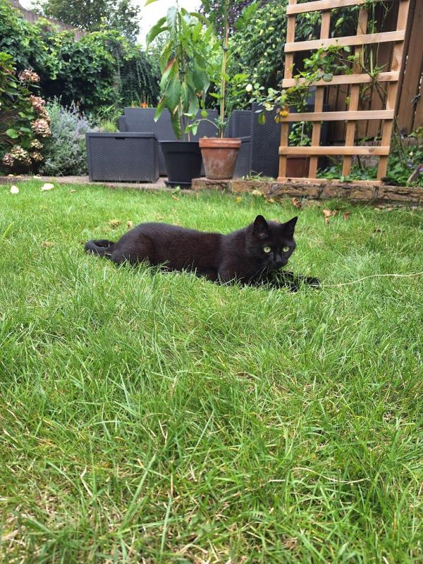 Boris