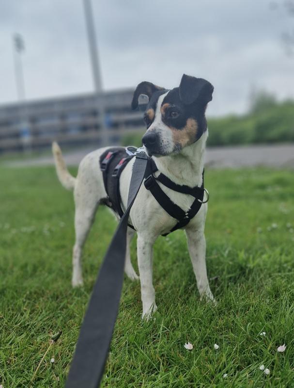 Coco