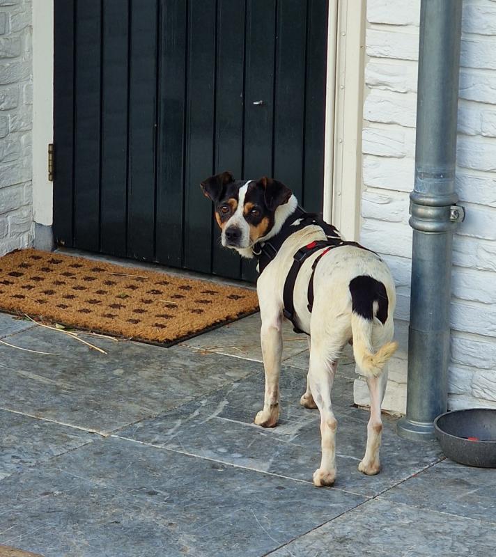 Coco