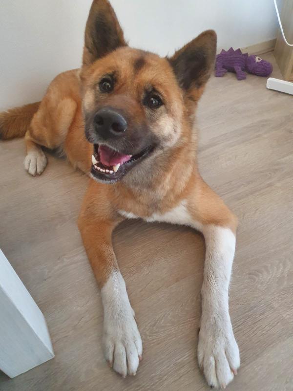 Zoë