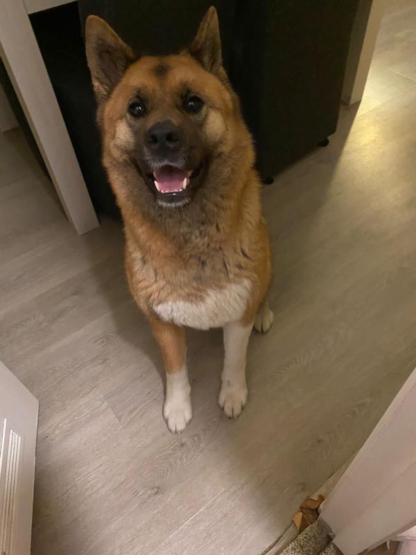 Zoë