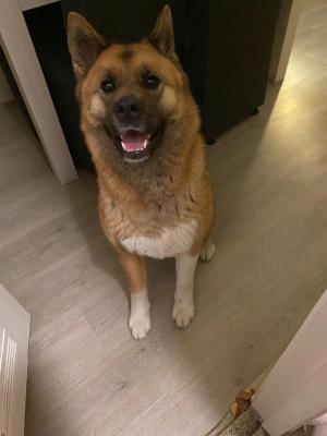 Zoë
