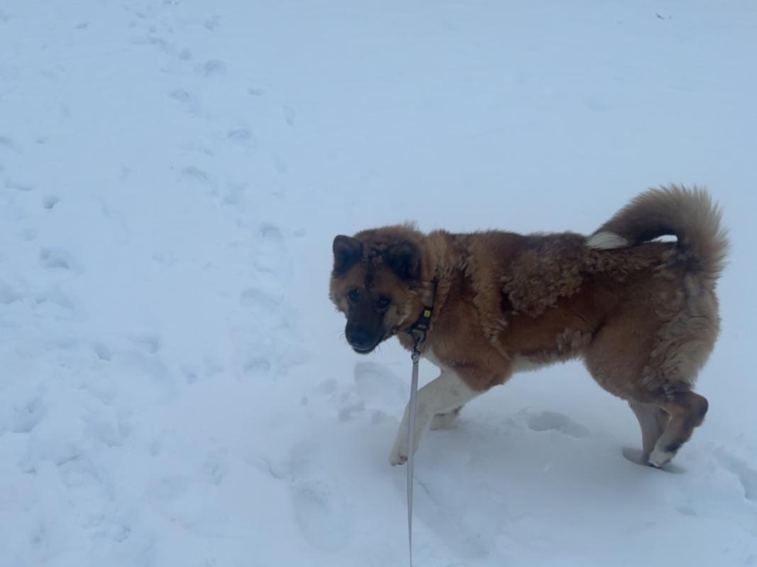 Zoë