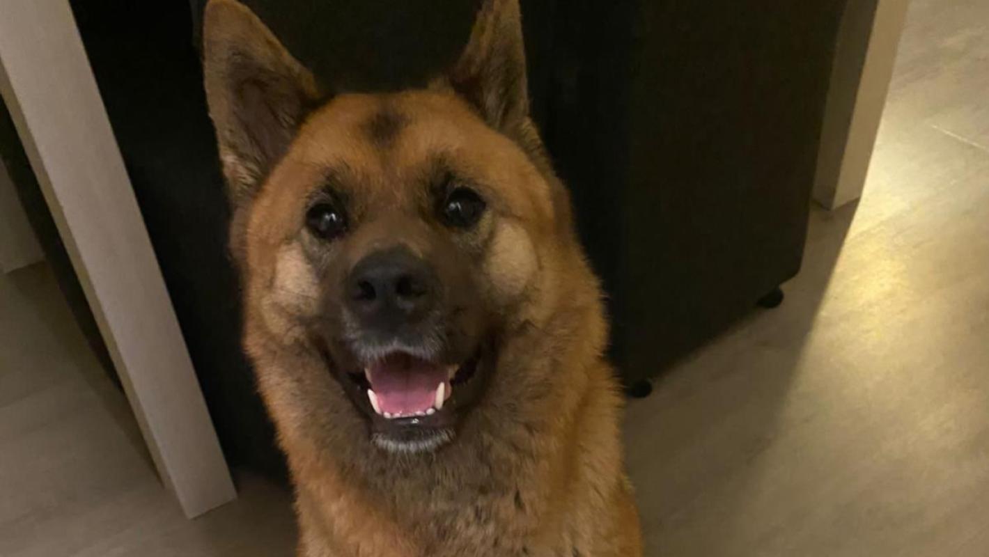 Zoë