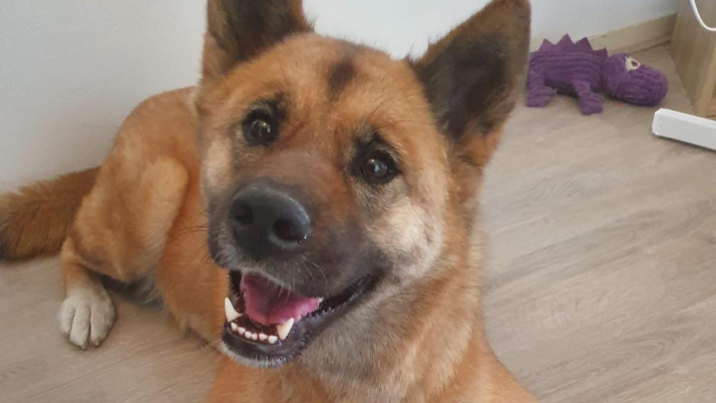 Zoë