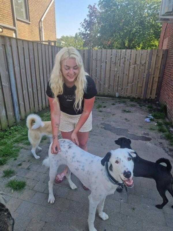 Oli