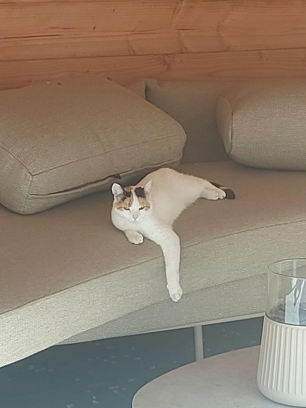 Lola