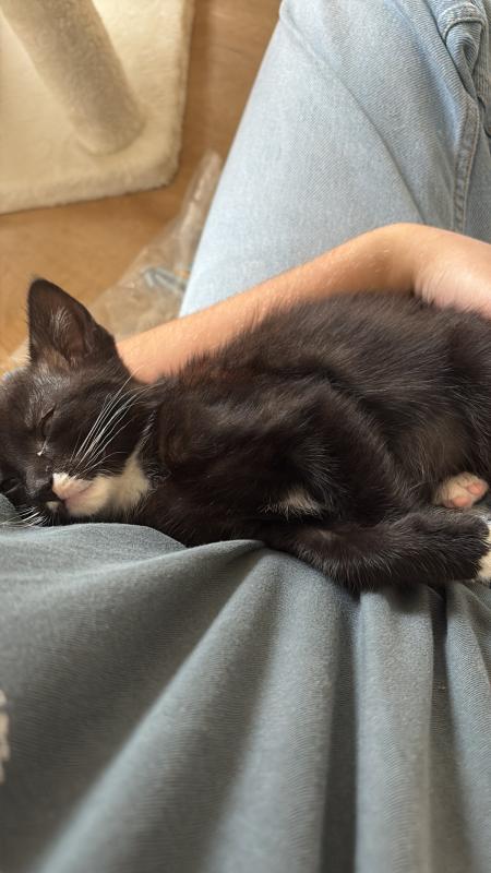 Leo